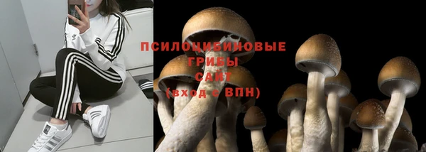 хмурый Зеленодольск
