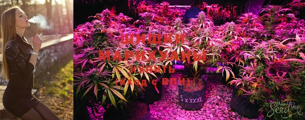 MDMA Premium VHQ Зерноград