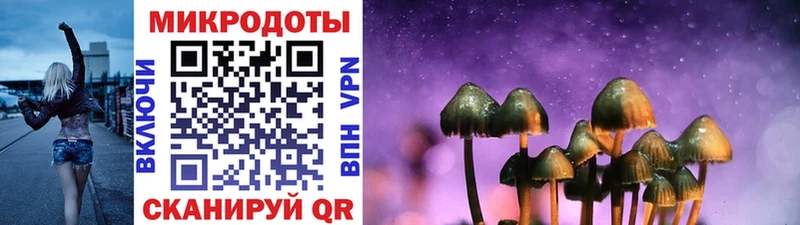 Купить где  Чаплыгин  Псилоцибиновые грибы Magic Shrooms 